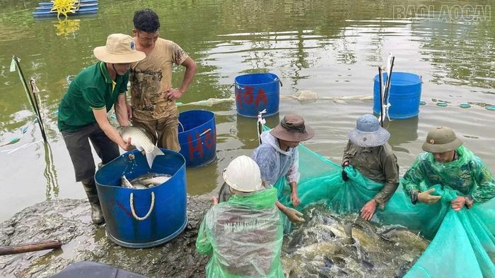 Mô hình trang trại tổng hợp của ông Nguyễn Văn Nam cho thu nhập 1,5 tỷ đồng mỗi năm.