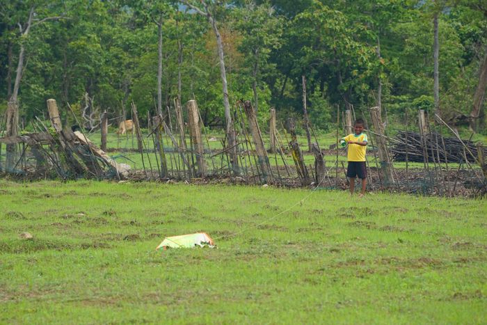 Cậu bé Mang Văn Bình với con diều trong những ngày hè