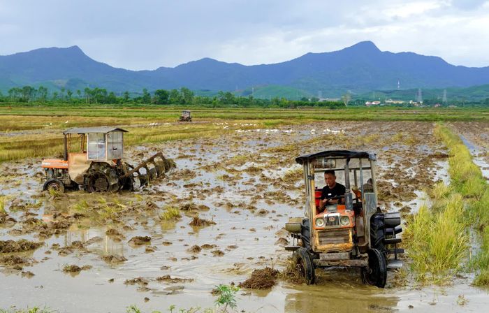 Hợp tác xã Dịch vụ nông nghiệp Đức Ninh triển khai vụ hè-thu 2026 - Ảnh: H.Tr