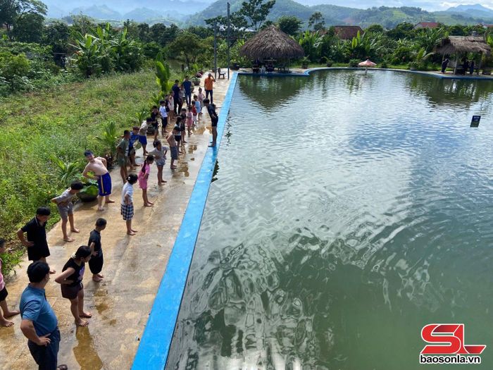 Hướng dẫn kỹ thuật bơi cơ bản cho các em thiếu nhi.