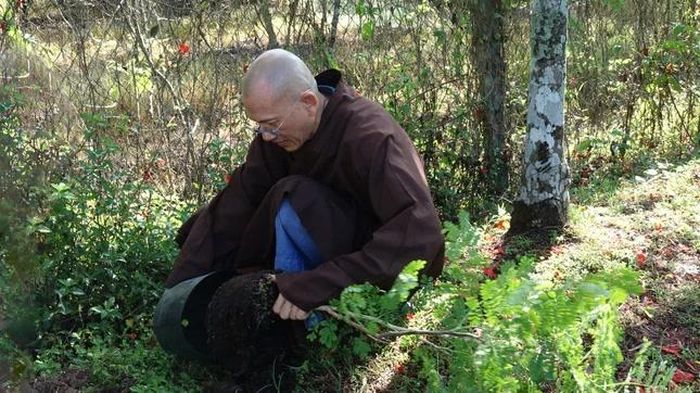 Đại đức Thích Thiện Phước, tri sự chùa Hội Phước trồng hoa kiểng