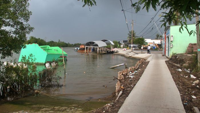 Bờ sông Đầm Dơi dọc tuyến đường Dương Thị Cẩm Vân (xã Đầm Dơi) bị sạt lở, chia cắt đường giao thông.