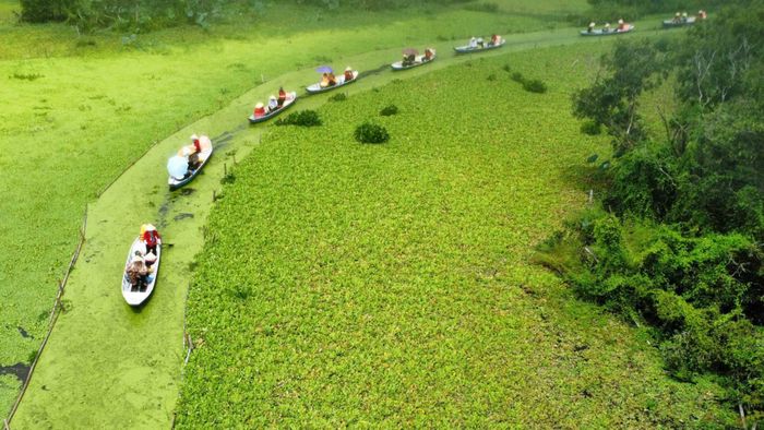 Cảnh thiên nhiên hữu tình tại Rừng tràm Trà Sư.