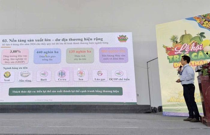 Các chuyên gia trình bày tham luận tại Hội thảo