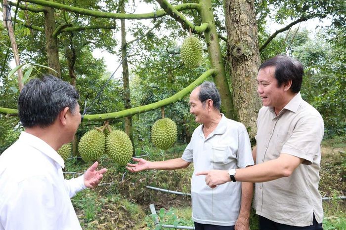 Đồng Tháp quyết tâm Xây dựng và phát triển thương hiệu các sản phẩm nông nghiệp chủ lực của tỉnh