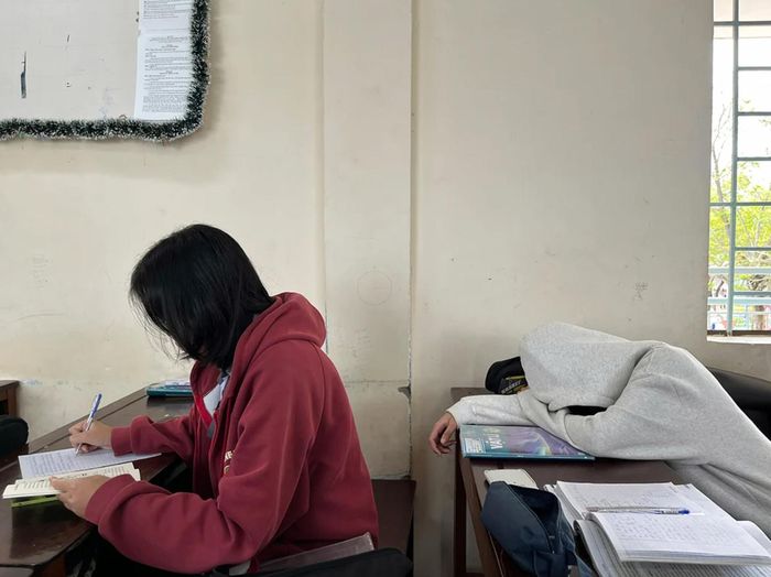 Các nghiên cứu quốc tế cho thấy việc cắt giảm giấc ngủ để học thêm có thể phản tác dụng