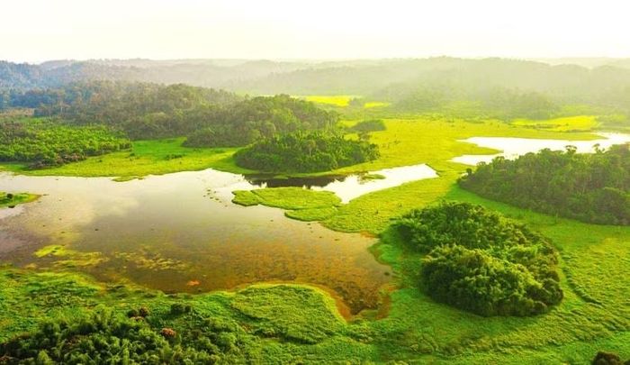 Bàu Sấu Vườn Quốc gia Cát Tiên là nơi lưu giữ nhiều quần thể động vật hoang dã quý hiếm. Ảnh: Báo Lâm Đồng
