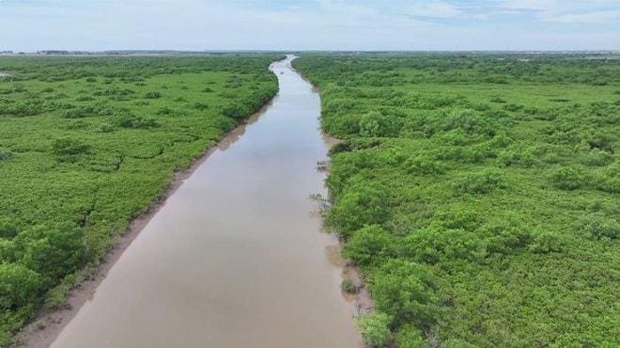 Khu bảo tồn thiên nhiên đất ngập nước Tiền Hải. Ảnh: Nam Hồng/LĐO