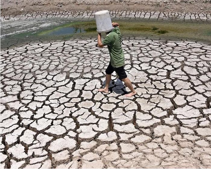 Năm 2024, năm nóng nhất từng được ghi nhận trên toàn cầu. Ảnh: AFP