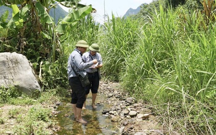 Các chuyên gia khảo sát tại nhiều điểm địa hình khu vực xung quanh hố sụt.