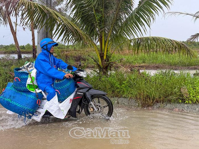  Nhiều tuyến lộ giao thông trên địa bàn xã Đất Mới xuống cấp, ngập nặng khi có mưa. 