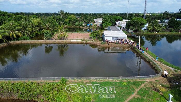 Ao nước ở khóm Giáp Nước là địa điểm dạy bơi cho trẻ.