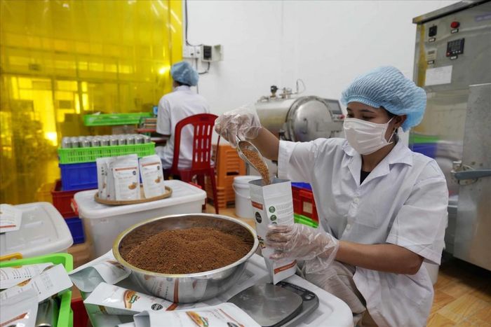  Từ sản xuất thô sang chế biến sâu, nhiều chủ thể OCOP đã đầu tư công nghệ, nâng cao chất lượng sản phẩm để gia tăng giá trị và sức cạnh tranh trên thị trường. Ảnh: minh họa 