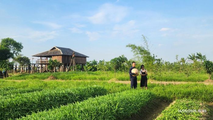 Đầu tư cho nông nghiệp hữu cơ chính là đầu tư cho một môi trường sống xanh, lành mạnh và bền vững.