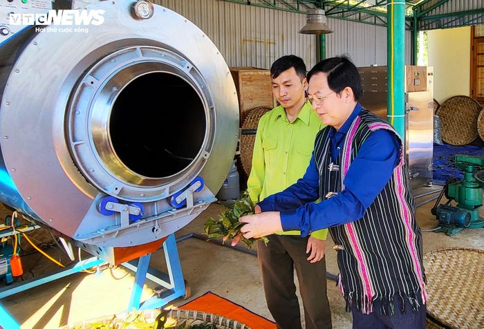 Năm 2024, ông Hồ Quốc Dũng, Ủy viên Ban Chấp hành Trung ương Đảng khóa XIV, Ủy viên Ban Thường vụ Đảng ủy Chính phủ, Phó Thủ tướng (khi đó là Bí thư Tỉnh ủy Bình Định) dành sự quan tâm đặc biệt đến chè Tiến Vua. Ông nhiều lần chỉ đạo địa phương triển khai đề tài nghiên cứu khoa học về loại chè này, đồng thời đẩy mạnh tuyên truyền, vận động người dân giữ gìn môi trường, cảnh quan, bảo vệ và phát triển diện tích chè hiện có nhằm bảo đảm nguồn nguyên liệu ổn định cho việc bảo tồn, phát huy giá trị sản phẩm.