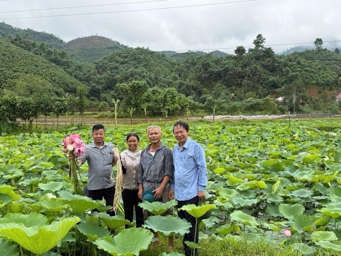PGS.TS Đặng Văn Đông cùng người dân thu hoạch vụ sen đầu tiên.