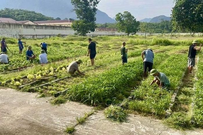 Người bệnh tham gia hoạt động chăm sóc vườn rau tại Trung tâm. Ảnh: T.H.