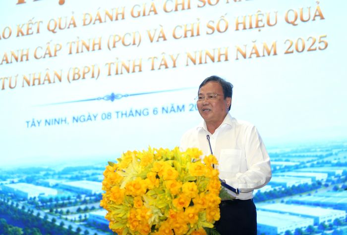 Ông Lê Văn Hẳn, Chủ tịch UBND tỉnh phát biểu tại hội nghị. Ảnh: HUỲNH DU