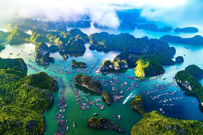 Vùng biển Cát Bà là khu bảo tồn biển của Việt Nam (năm 2003), quần đảo Cát Bà được UNESCO công nhận là khu Dự trữ sinh quyển thế giới (năm 2004); được Thủ tướng Chính phủ công nhận là Di tích Quốc gia đặc biệt (năm 2013). Ảnh: TTXVN
