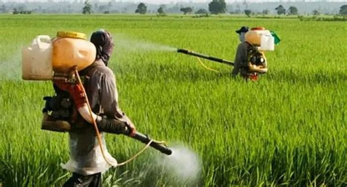 Thu hẹp điều kiện kinh doanh: Mở cửa cho thị trường nông sản