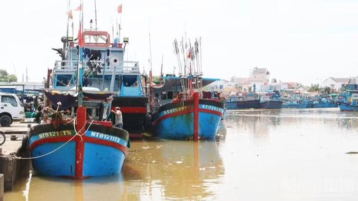 Cảng cá Đông Hải (phường Đông Hải, tỉnh Khánh Hòa) đã xuống cấp nhiều, đang được địa phương đề xuất mở rộng để đáp ứng nhu cầu phát triển.