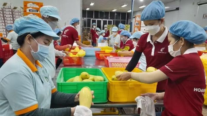 Chỉ số hiệu quả kinh tế tư nhân (BPI) - chỉ số lần đầu được công bố trong năm 2025, Tây Ninh đạt 4,01 điểm, xếp thứ 24/34 tỉnh, thành phố.