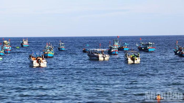 Cảng cá Nhơn Lý thu hút nhiều tàu du lịch đến đưa đón du khách.