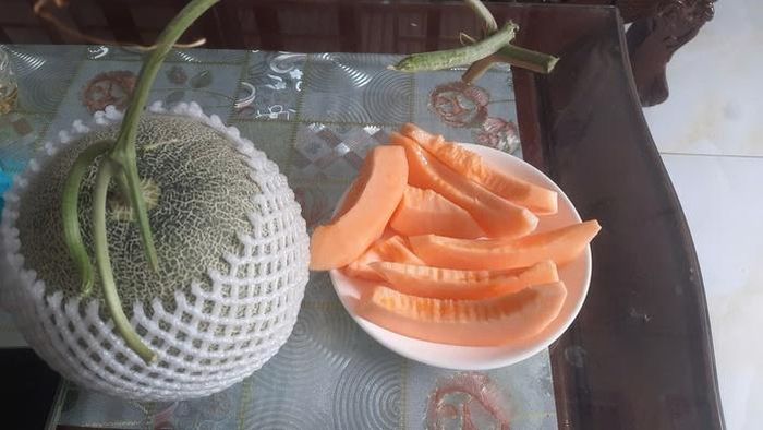 Gia đình anh Điển chia sẻ với khách vị ngon ngọt của quả dưa