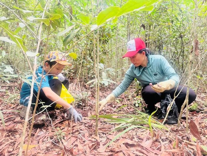 Nhiều học sinh ở Phú Quốc theo gia đình vào rừng "săn lộc trời"