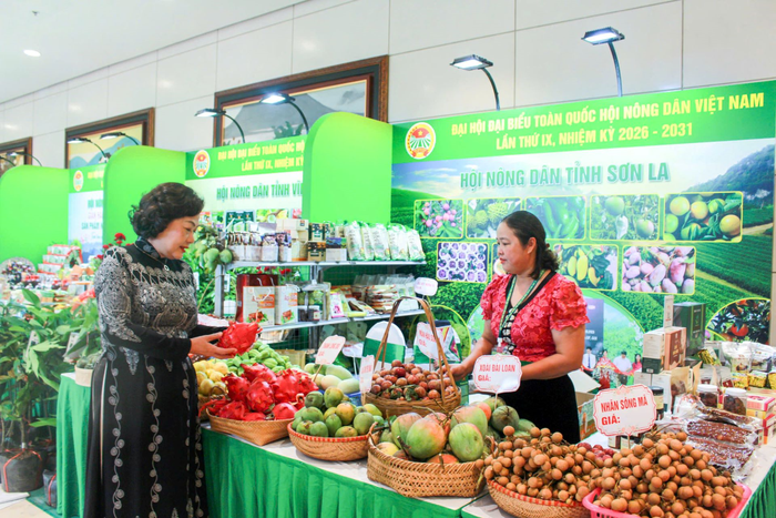 Đồng chí Nguyễn Thị Hồng, Ủy viên Trung ương Đảng, Phó chủ tịch Quốc hội, Đại biểu Quốc hội tỉnh Sơn La tham quan gian nông nghiệp trưng bày tại Đại hội. 