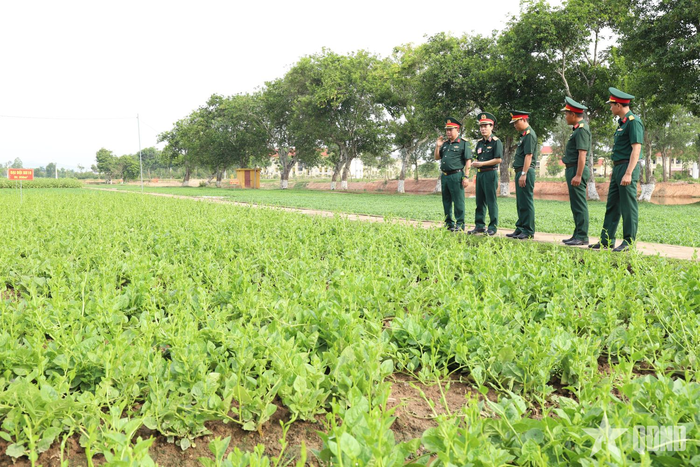 Thiếu tướng Lê Văn Phan kiểm tra vườn rau của Tiểu đoàn 3, Trung đoàn 101, Sư đoàn 325.