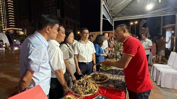 Các đại biểu tham quan các gian hàng tại An Hai Festival