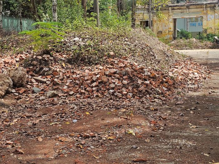 Cảnh hoang tàn bên trong Dinh tỉnh trưởng Gò Công. Ảnh: HÒA HỘI
