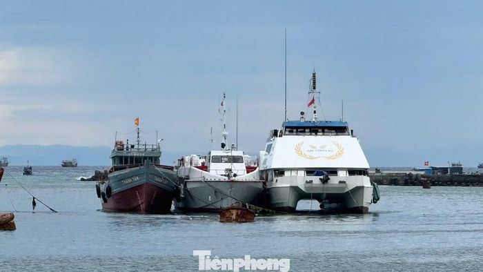 Những con tàu cao tốc không thể cạnh tranh lại tàu siêu tốc đành nằm bờ nhiều năm qua.