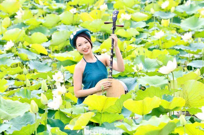 Những đóa sen trắng nở rộ thu hút nhiều du khách tìm đến tham quan, trải nghiệm và ghi lại những khoảnh khắc đẹp của mùa hè.