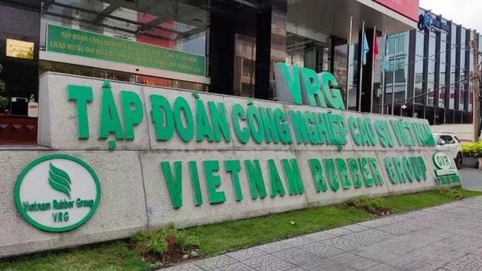GVR đang trong thời gian thực hiện kế hoạch cơ cấu lại nên không bị hủy tư cách công ty đại chúng.