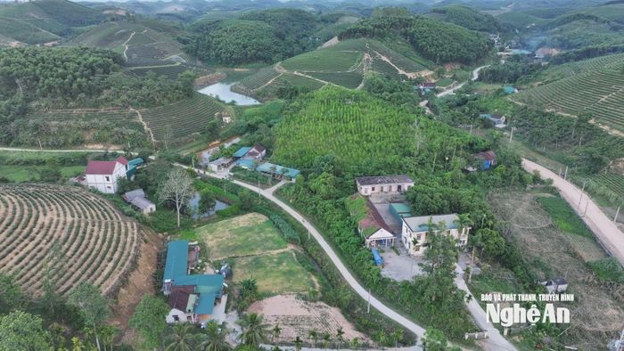 Tại xã Yên Xuân, với những thôn bà con nhân dân trồng chè, sau sắp xếp sẽ có diện tích rất rộng, có thôn lên tới 14 km2. Ảnh: P.V