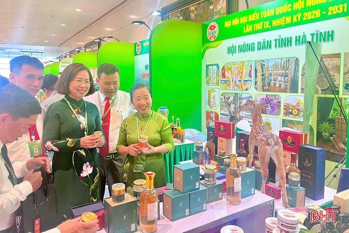 Phó Chủ tịch Ban Chấp hành Trung ương Hội Nông dân Việt Nam Bùi Thị Thơm tham quan gian hàng trưng bày các sản phẩm tiêu biểu của nông dân Hà Tĩnh.