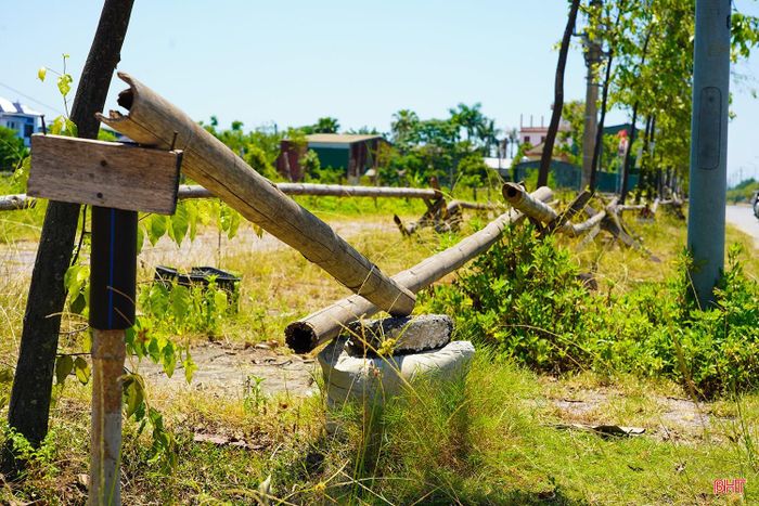 Tình trạng nhếch nhác suốt thời gian dài tại đường Trương Quốc Dụng "cửa ngõ" phía đông phường Thành Sen.