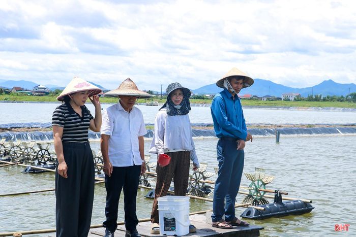 Mô hình nuôi cá chim trắng vây vàng đang trở thành hướng đi mới trong phát triển kinh tế của địa phương.