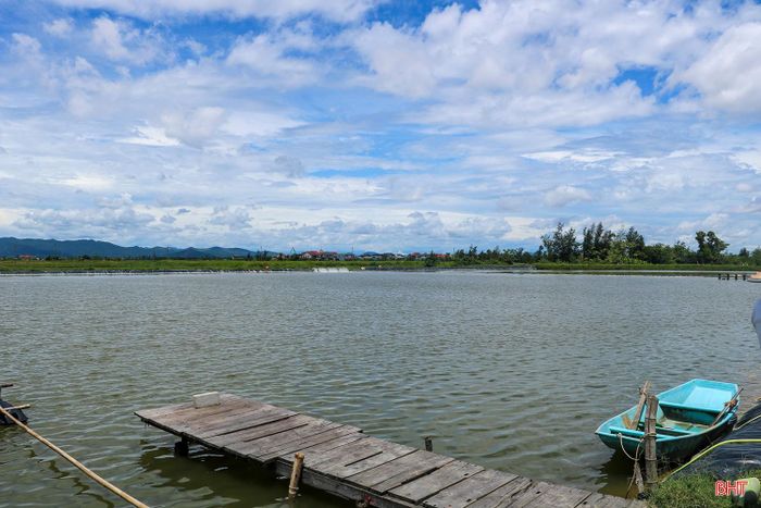  Mô hình nuôi cá chim trắng vây vàng của ông Nguyễn Văn Hòa cho thu nhập mỗi năm khoảng 700 triệu đồng. 