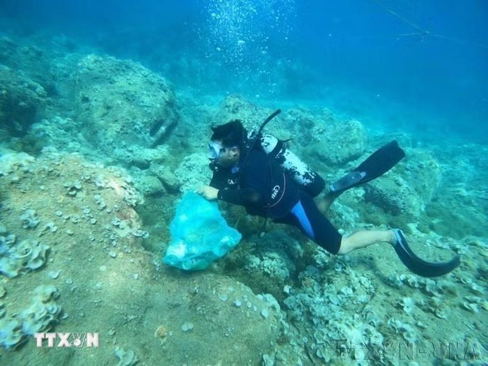 Thu gom rác thải nhựa dưới biển xã đảo Nhơn Hải, nay là phường Quy Nhơn Đông, tỉnh Gia Lai. (Ảnh: TTXVN phát)