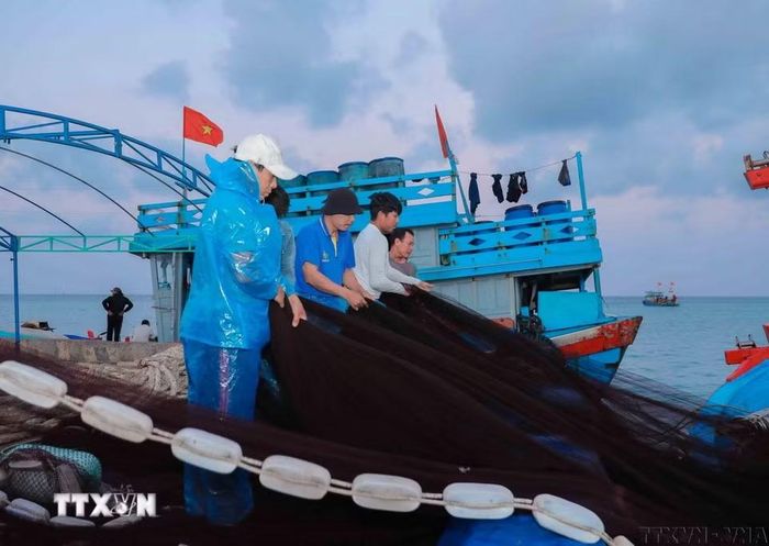 Ngư dân tại đặc khu Lý Sơn (Quảng Ngãi) tập huấn về bảo tồn biển, rùa biển và hệ sinh thái biển; được trang bị kiến thức, kỹ năng cứu hộ, giám sát, góp phần lan tỏa ý thức bảo vệ đại dương bền vững. (Ảnh: Phan Phương/TTXVN)