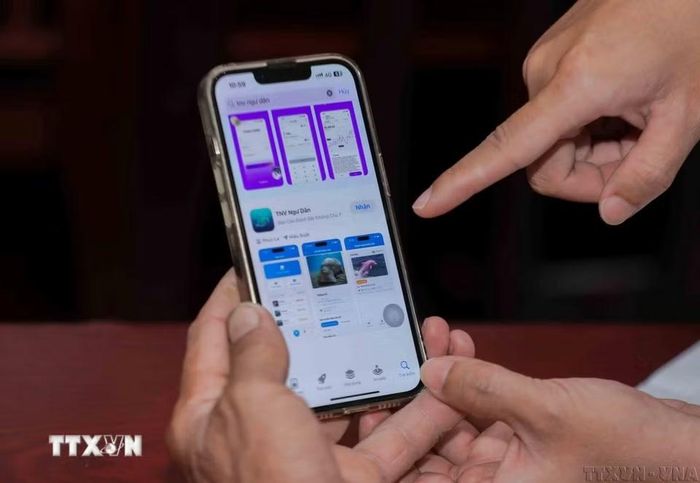 Ngư dân tại đặc khu Lý Sơn (Quảng Ngãi) sử dụng ứng dụng hỗ trợ ghi nhận, báo cáo, theo dõi các loài động vật biển; cung cấp dữ liệu kịp thời, chính xác, góp phần bảo tồn đa dạng sinh học và quản lý nguồn lợi hiệu quả (3/2026). (Ảnh: Phan Phương/TTXVN)