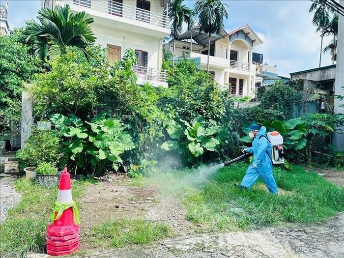 Phun thuốc diệt muỗi để phòng ngừa bệnh sốt xuất huyết. Ảnh minh họa: TTXVN phát