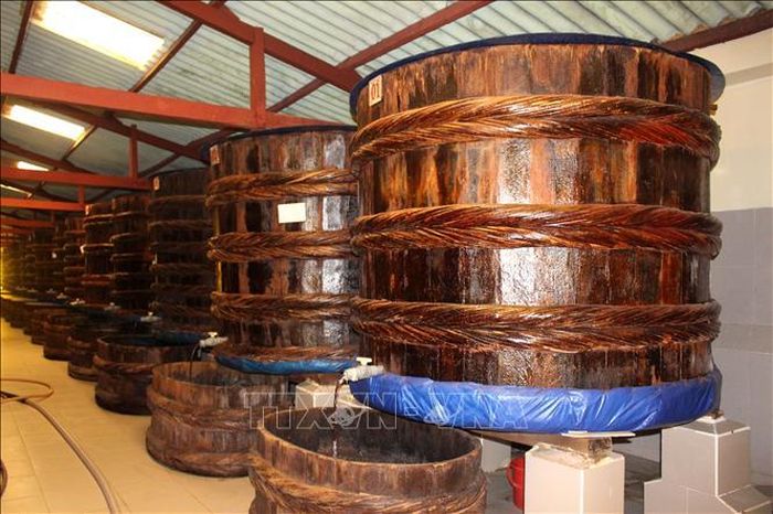 Nghề sản xuất nước mắm truyền thống Phan Thiết (tỉnh Bình Thuận cũ, nay thuộc tỉnh Lâm Đồng). Ảnh: Hồng Hiếu/TTXVN