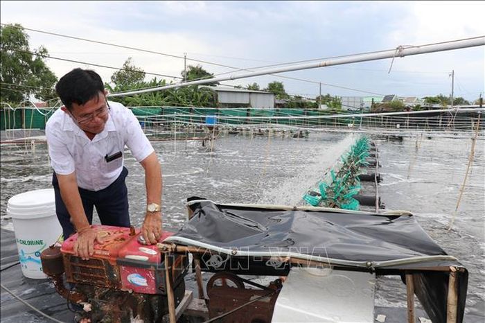 Ao nuôi tôm thẻ chân trắng công nghệ cao của gia đình ông Ngô Văn Thới, ấp Tân Thành, xã Long Thành được đầu tư đồng bộ hệ thống kỹ thuật.
