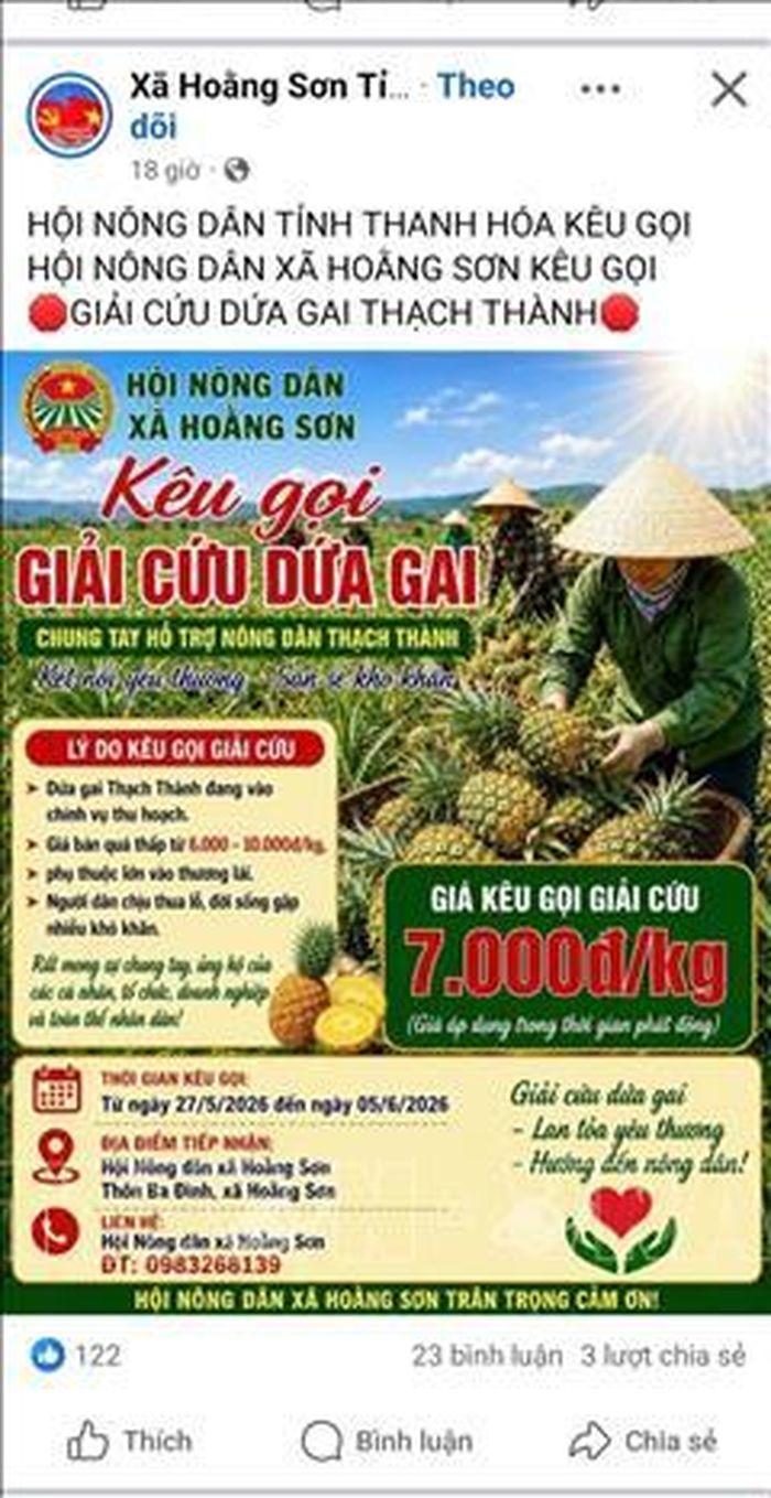 Hội Nông dân tỉnh Thanh Hóa kêu gọi các cấp hội giải cứu dứa.