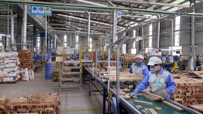 Công nhân làm việc tại dây chuyền chế biến gỗ công nghiệp thuộc Công ty Cổ phần Woodsland Tuyên Quang. Ảnh tư liệu - minh họa: Vũ Quang/ TTXVN.