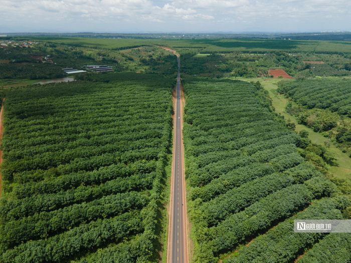 Dự án cũng đóng vai trò là hạt nhân, tạo hiệu ứng lan tỏa, thu hút mạnh mẽ dòng vốn đầu tư, đặc biệt là FDI, góp phần hình thành hệ sinh thái công nghiệp hiện đại cho toàn vùng Tây Nguyên.
